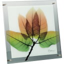 ガラス 絵画 X RAY ガラス アート 「アスペン フォール(Mサイズ)」 壁掛用 XR-05012周年記念品 プレゼント 退職記念 卒業記念 名入れ相談
