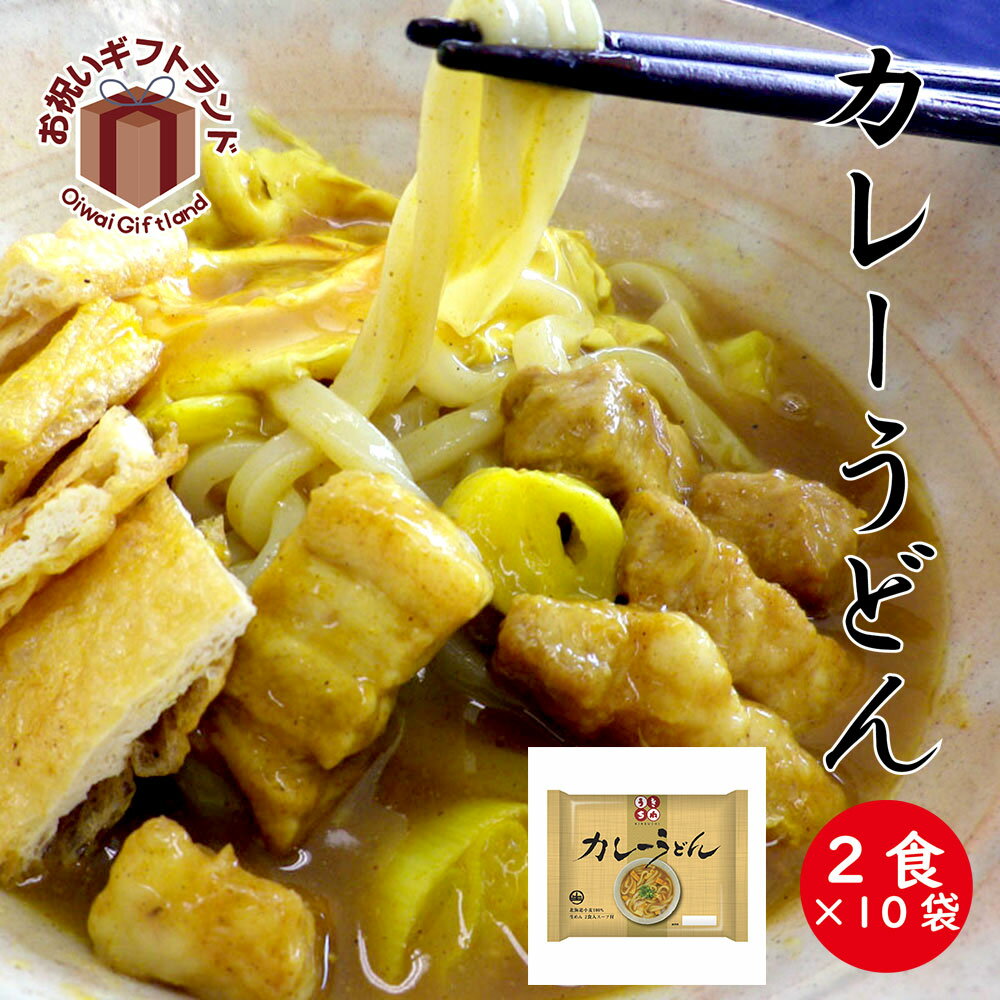 うどん詰め合わせ お中元 御中元 お手土産 お年賀 | サンサス （2食入り、スープ付）10パック | カレーうどん SCUR10 | うどん | 内祝い 出産内祝い 結婚内祝い お手土産 粗品 お中元 お歳暮 自粛御見舞