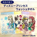 選べる ハンドタオル ウォッシュタオル 1枚 ドリーミー ( 白雪姫、エルサ、ラプンツェル、アリエル )卒園 ご挨拶 お礼 幼稚園 保育園