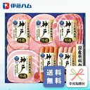 【7/19〜7/26限定! 抽選で100%P還元&最大P10倍 ※要エントリー】 お中元 ハム ギフト 伊藤ハム IKE-301 御中元 専用 夏ギフト ご挨拶...