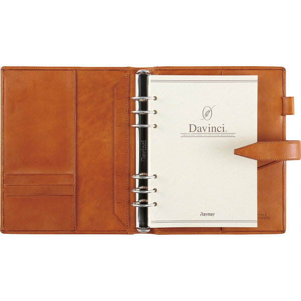 58 以上節約 ダ ヴィンチグランデ ａ５サイズシステム手帳 ブラウン Dsa3013c ギフト対応不可 送料無料 Summitinternationalschool Com