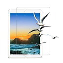 【2枚セット】iPad 10.2 強化ガラス保護フィルム 旭硝子社素材 高透過率 指紋防止 2019 第七世代 第八世代 第九世代 アイパッド10.2インチ【全...