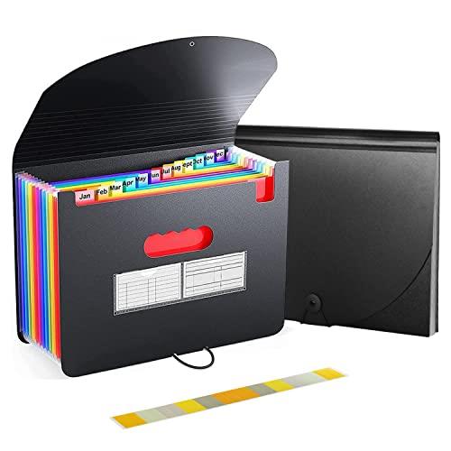 Homdolaser ドキュメントスタンド A4 ドキュメントファイル 13ポケット アコーディオンファイル 書類収納ケース 色別ファイリング 区分けラベル付き...