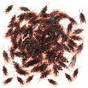 ゴキブリおもちゃ 面白グッズ 本物そっくりの偽のゴキブリ いたずらおもちゃ ハロウィン パーティー ジョーク玩具 いたずらグッズ 悪ふざけ 整?おもちゃ 偽ゴキブリ いたずらジョークゲームの小道具 100個入り