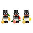 Beautytrees アロマオイル セット 10mlx3本 柑橘系 エッセンシャルオイル 精油 天然素材 自然な香り オレンジスイート/レモン/グレープフルー...
