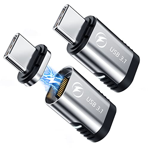 USB-Cマグネット式アダプター (2個セット) 24ピン ストレート 100WのUSB PD充電 USB3.1 10Gbpsのデータ転送 60Hzで4Kの動画...