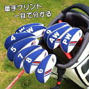 CRAFTSMAN(クラフトマン)ゴルフアイアンカバー クラブヘッドカバー 10枚セット (4-9,PW,AW,SW,LW) ネオプレン製 伸縮性ある アメリカフラグ柄 ホワイト ブルー