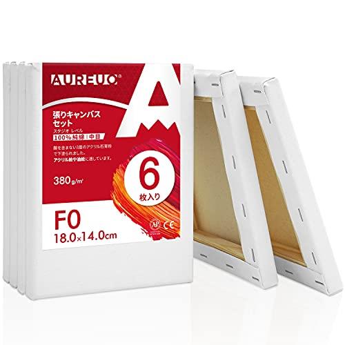 AUREUO 張りキャンバス セット F0 (18cmX14cm) 中目 100%コットン 6枚 初心者 絵画用具 芸術絵創作 現代油絵 美術装飾 水彩画・油絵...