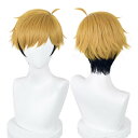 猫の城 ハイキュー!! 宮侑 コスプレウィッグ 耐熱 かつら アニメ 仮装 コスチューム小物 パーティー イベント 仮装 コスチュム ウィッグネット付き