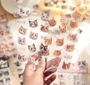コラージュ 素材 シール フレークシール ステッカー 大量 手帳 おしゃれ 防水 かわいい 花 蝶 (猫)