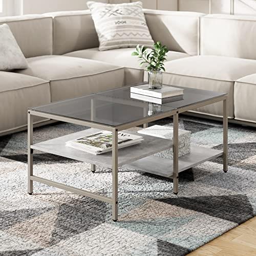 HOMOOI ローテーブル センターテーブル ガラステーブル 二段収納 強化ガラス 収納付き おしゃれ リビング 一人暮らし 幅100×奥行60×高さ45cm ...