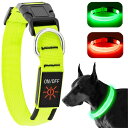 KOSKILL LED光る首輪 犬用 散歩 夜 ライト USB充電式 小型犬 中型犬 大型犬 安全性 サイズ調整可能 視認距離500mで夜間も安心(グリーン, ...