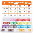 JOREST 30個ミニ平型ヒューズ、車 ヒューズ, 車/トラック/オートバイ用(2A 3A 5A 7.5A 10A 15A 20A 25A 30A 35A 4...