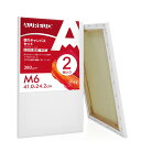 AUREUO 張りキャンバス セット M6 (41cmX24.2cm) 中目 100%コットン 2枚 初心者 絵画用具 芸術絵創作 現代油絵 美術装飾 水彩画・...