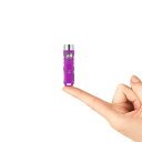RovyVon Aurora a1 4rd USB C 充電式キーチェーン ライト 650 ルーメンの超高輝度コンパクト EDC 懐中電灯、キャンプ、ハイキング...