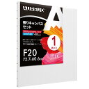 AUREUO 張りキャンバス セット F20 (72.7cmX60.6cm) 中目 全麻 1枚 リネン 専門の絵画用具 芸術絵創作 現代油絵 美術装飾 水彩画・...