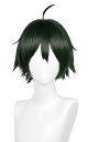 コスプレウィッグ ネット付き 山口忠(やまぐち ただし) グリーン ショートウィッグ かつら wig