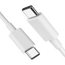 USB Type C ケーブル2m (PD対応 100W, 1本セット)