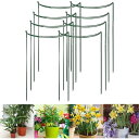 Yivoumi 植物支柱 8点セット 40*25cm 花ささえ 園芸支柱 植物サポート 観葉植物 つる性植物 観葉支柱 誘引 支柱 簡単設置 花支え 支柱棚 フ...