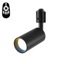 ANWIO スポットライト ダクトレール用 4.5W(40W形相当) リモコン付き ライティングレール用 LED内蔵式 電球不要 北欧 角度可動 取付簡単 電気...