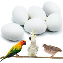 偽卵 鳥 卵 鳥のおもちゃ イースターエッグ 【6個セット】 鳥 フェイクエッグ バッチ ハト 飼育用品 人工巣 卵 フード サンプル フェイクエッグ (L)
