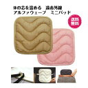 遠赤外線アルファウェーブ ミニパッドS ベージュ2枚セット 21cm×21cm【送料無料】(メール便でお届け)電気を使わない高レベル遠赤外線パッドアルファウエー...