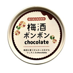 丸赤製菓 お酒入りのチョコ 梅乃宿 梅酒 ボンボン チョコレート chocolate 奈良の地酒蔵 梅乃宿酒造 の梅酒使用 道の駅 ハロウィン バレンタイン プレゼントクーポン 賞味期限2024年5月5日