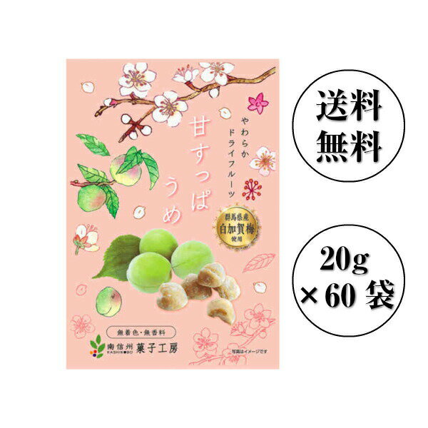 【ポイント10倍BLACKFRIDAY期間】南信州菓子工房 国産・甘すっぱうめ 20g×60袋【送料無料】和歌山県梅使用 ドライフルーツ 包装不可