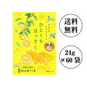 【ポイント10倍マラソン期間】 南信州菓子工房 国産ひとくちはっさく24g×60袋 【送料無料】国産 はっさく使用 ドライフルーツ包装不可