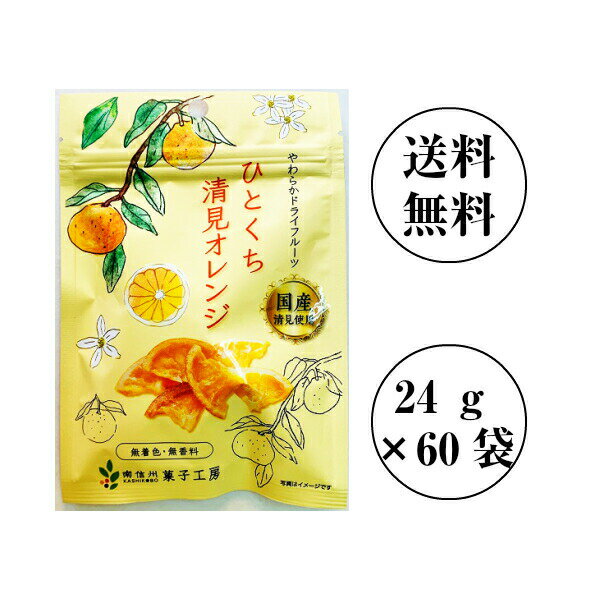 【ポイント5倍】南信州菓子工房　ひとくち清見オレンジ 24g×60袋　【送料無料】国産　ドライフルーツ包装不可