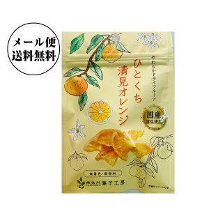 南信州菓子工房 ひとくち清見オレンジ 24g×10袋【送料無料】国産ドライフルーツ　ゆうメールでお届け包装不可