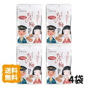 【送料無料】ぺたんこちょび梅 4袋 紀州梅100% 使用 天日乾燥梅肉 ゆうメールでお届け 安心の 無添加 国産 和歌山産包装不可 道の駅 クーポン