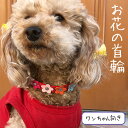 犬 首輪 カラフル かわいい 犬首輪 小型犬 オリジナルペット 愛犬 犬グッズ ペット用品 ペットへのプレゼントにおすすめ