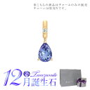 スタージュエリー STAR JEWELRY K10 チャーム TALISMANIC TANZANITE CHARM (12月の誕生石) 2JC0095 母の日