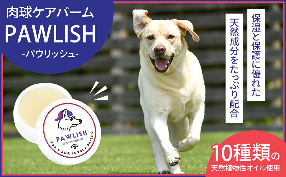 【10％OFF!スーパーSALE限定】肉球クリーム 犬 猫 ペット 足 保護 保湿 ケア ヒアルロン酸入 完全無添加 舐めても安心 蜜蝋 みつろう シアバター ホホバオイル 日本製 20g PAWLISH パウリッシュ 喜ばれるギフト 2