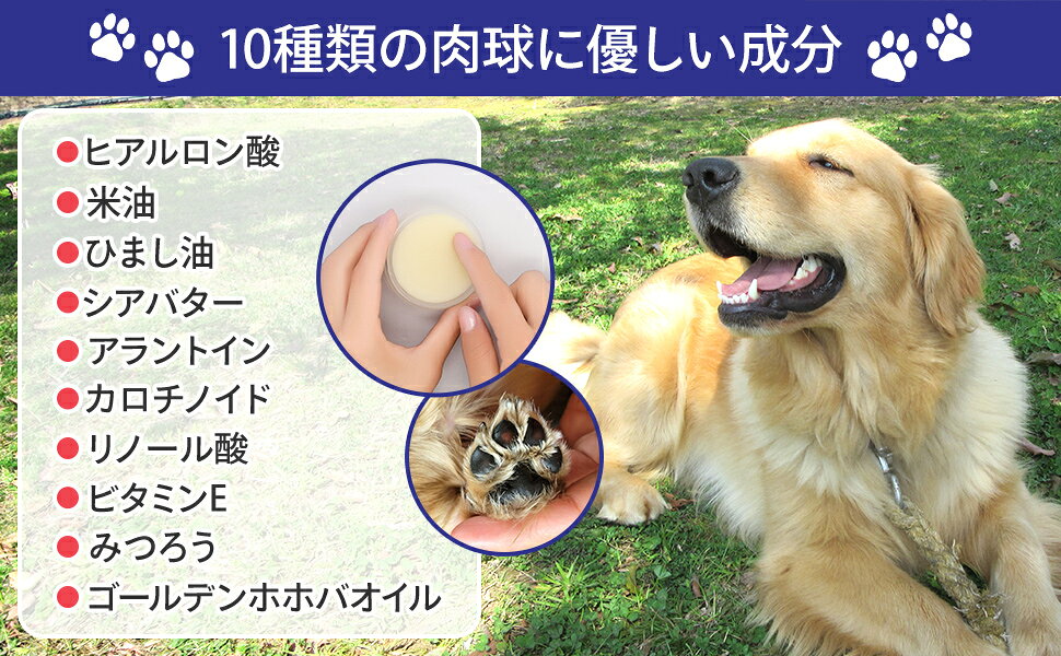 【10％OFF!スーパーSALE限定】肉球クリーム 犬 猫 ペット 足 保護 保湿 ケア ヒアルロン酸入 完全無添加 舐めても安心 蜜蝋 みつろう シアバター ホホバオイル 日本製 20g PAWLISH パウリッシュ 喜ばれるギフト 3
