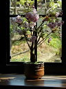 自宅で桜のお花見を楽しむ2023年4月中頃に開花楊貴妃桜盆栽 八重咲きの桜盆栽 ピンクのかわいいいサクラのお花見 が楽しめます 自宅でお花見 ミニ盆栽
