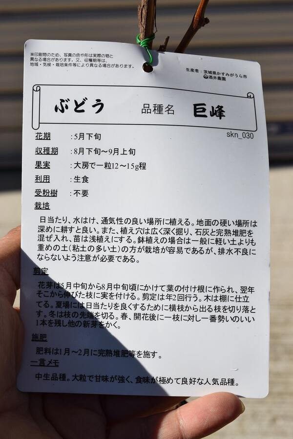 �ġ���ƺ�������ġ��̼��ġ���ƺ�ġ��������ƺ�μ��Ϥ�