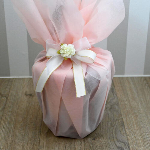 ラッピング色はピンク リボン付きです