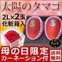 【シーズンオフ】予約【母の日 遅れてゴメンねギフト マンゴー...