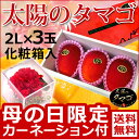 【シーズンオフ】予約【母の日 遅れてゴメンねギフト マンゴー...
