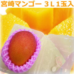 https://thumbnail.image.rakuten.co.jp/@0_mall/giftpark/cabinet/miyazakimango/mangomiya3l1pac-simg.jpg