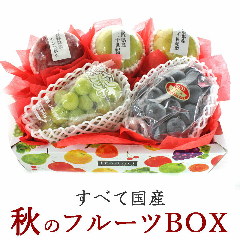 旬の果物 詰め合わせ 【秋の国産フルーツBOX】【幸】誕生日プレゼント 贈答用 贈り物 喜ばれる お礼 つめあわせ 内祝い フルーツギフト[送料無料] 高級 ギフト お祝い お見舞い ぶどう 梨 kt