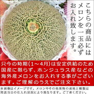 [ギフトパーク]お供え 果物 詰め合わせ【水】法事 御供 御霊前 法要 御仏前 御供え お忌み お供え 葬儀 お盆 仏事 四十九日 一周忌 三回忌 七回忌 初盆 新盆 籠盛 盛り合わせ くだもの 詰合せ かご メロン入り フルーツ 果物盛りかご 送料無料 翌日配達 あす楽対応