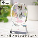 〇商品内容：エコロジークリスタルガラス　化粧箱入り　【中】〇商品サイズ：高さ13cm x 幅7cm x 奥行3.5cm〇箱サイズ：紙115×45×160mm〇生産地・産地：日本〇商品お問合せ番号：079-0882愛しいペットちゃんのお姿をク...