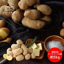 とかち井上農場×なないろキッチン 雪蔵甘熟メークイン二冬越 (ふたふゆごし) 約3kg (7月上旬より順次出荷予定) (承り期間:7月18日まで) 野菜 じゃが...