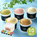 セイヒョー NIIGATA ICE SELECTION (10個入) (6月1日より順次出荷予定) (承り期間:7月26日まで) 新潟 アイス アイスクリーム シャーベット 氷菓 ご当地 グルメ お取り寄せ 内祝い お返し お礼 お中元 御中元