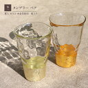 グラス セット 箔一 タンブラー ペアセット ゴールド＆シャンパン 2色セット 箱入り 貫入 金箔 ガラス コップ タンブラーグラス おしゃれ 色違い 工芸 新品 ギフト プレゼント 贈り物 お祝 結婚祝い 長寿 金 箔入り 酒 ビール 父の日 母の日 敬老 酒好き Frap68 yui