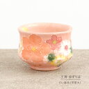 ぐい呑み 平型 大 ゆずりは 工房 紅彩花化粧 ぐいのみ 単品 花柄 おしゃれ かわいい 手作り ハンドメイド 日本製 即日発送可能 陶器 瀬戸焼 和食器 食器 手描き プレゼント 贈り物 ギフト 母の日 敬老の日 誕生日 箱入り 日本酒 お酒 酒器 冷酒