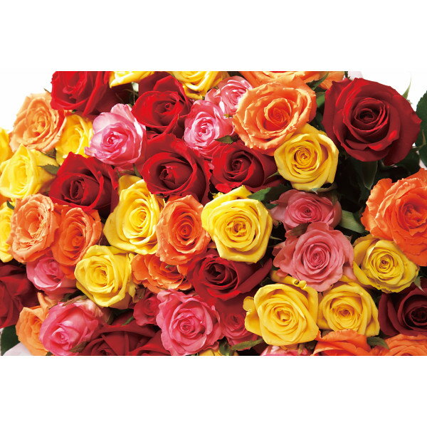 バラの花束16本から20本までのお...